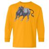 Youth Heavy Cotton™ Long Sleeve T-Shirt Thumbnail