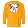 Youth Heavy Cotton™ Long Sleeve T-Shirt Thumbnail