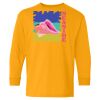Youth Heavy Cotton™ Long Sleeve T-Shirt Thumbnail