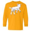 Youth Heavy Cotton™ Long Sleeve T-Shirt Thumbnail