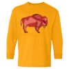 Youth Heavy Cotton™ Long Sleeve T-Shirt Thumbnail