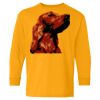 Youth Heavy Cotton™ Long Sleeve T-Shirt Thumbnail