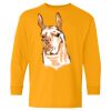 Youth Heavy Cotton™ Long Sleeve T-Shirt Thumbnail