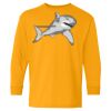 Youth Heavy Cotton™ Long Sleeve T-Shirt Thumbnail