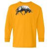 Youth Heavy Cotton™ Long Sleeve T-Shirt Thumbnail