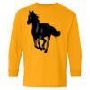 Youth Heavy Cotton™ Long Sleeve T-Shirt Thumbnail