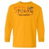 Youth Heavy Cotton™ Long Sleeve T-Shirt Thumbnail