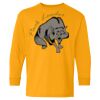 Youth Heavy Cotton™ Long Sleeve T-Shirt Thumbnail