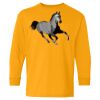 Youth Heavy Cotton™ Long Sleeve T-Shirt Thumbnail