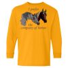Youth Heavy Cotton™ Long Sleeve T-Shirt Thumbnail