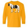 Youth Heavy Cotton™ Long Sleeve T-Shirt Thumbnail