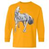 Youth Heavy Cotton™ Long Sleeve T-Shirt Thumbnail