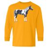 Youth Heavy Cotton™ Long Sleeve T-Shirt Thumbnail