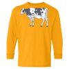 Youth Heavy Cotton™ Long Sleeve T-Shirt Thumbnail