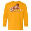 Youth Heavy Cotton™ Long Sleeve T-Shirt Thumbnail