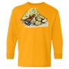 Youth Heavy Cotton™ Long Sleeve T-Shirt Thumbnail