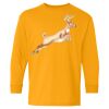 Youth Heavy Cotton™ Long Sleeve T-Shirt Thumbnail