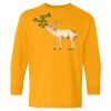 Youth Heavy Cotton™ Long Sleeve T-Shirt Thumbnail