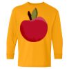 Youth Heavy Cotton™ Long Sleeve T-Shirt Thumbnail