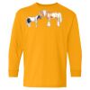 Youth Heavy Cotton™ Long Sleeve T-Shirt Thumbnail