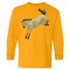 Youth Heavy Cotton™ Long Sleeve T-Shirt Thumbnail
