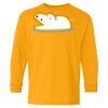 Youth Heavy Cotton™ Long Sleeve T-Shirt Thumbnail