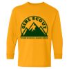 Youth Heavy Cotton™ Long Sleeve T-Shirt Thumbnail
