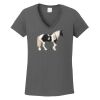 Ladies Heavy Cotton ™ 100% Cotton V Neck T Shirt Thumbnail