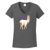 Ladies Heavy Cotton ™ 100% Cotton V Neck T Shirt Thumbnail
