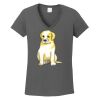 Ladies Heavy Cotton ™ 100% Cotton V Neck T Shirt Thumbnail