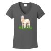 Ladies Heavy Cotton ™ 100% Cotton V Neck T Shirt Thumbnail