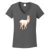Ladies Heavy Cotton ™ 100% Cotton V Neck T Shirt Thumbnail