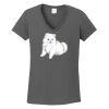 Ladies Heavy Cotton ™ 100% Cotton V Neck T Shirt Thumbnail