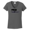 Ladies Heavy Cotton ™ 100% Cotton V Neck T Shirt Thumbnail