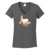 Ladies Heavy Cotton ™ 100% Cotton V Neck T Shirt Thumbnail