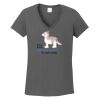Ladies Heavy Cotton ™ 100% Cotton V Neck T Shirt Thumbnail