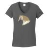 Ladies Heavy Cotton ™ 100% Cotton V Neck T Shirt Thumbnail