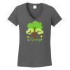 Ladies Heavy Cotton ™ 100% Cotton V Neck T Shirt Thumbnail