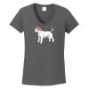 Ladies Heavy Cotton ™ 100% Cotton V Neck T Shirt Thumbnail