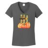 Ladies Heavy Cotton ™ 100% Cotton V Neck T Shirt Thumbnail