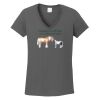 Ladies Heavy Cotton ™ 100% Cotton V Neck T Shirt Thumbnail