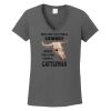 Ladies Heavy Cotton ™ 100% Cotton V Neck T Shirt Thumbnail