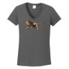 Ladies Heavy Cotton ™ 100% Cotton V Neck T Shirt Thumbnail