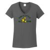 Ladies Heavy Cotton ™ 100% Cotton V Neck T Shirt Thumbnail