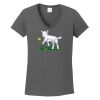 Ladies Heavy Cotton ™ 100% Cotton V Neck T Shirt Thumbnail