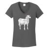 Ladies Heavy Cotton ™ 100% Cotton V Neck T Shirt Thumbnail