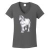 Ladies Heavy Cotton ™ 100% Cotton V Neck T Shirt Thumbnail