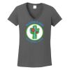 Ladies Heavy Cotton ™ 100% Cotton V Neck T Shirt Thumbnail