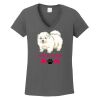Ladies Heavy Cotton ™ 100% Cotton V Neck T Shirt Thumbnail