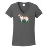 Ladies Heavy Cotton ™ 100% Cotton V Neck T Shirt Thumbnail